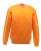 SG20 SG Men's Crew Neck Sweatshirt