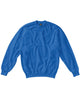 SG20F SG Ladies' Crew Neck Sweatshirt