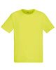 61390 Fruit Of The Loom Men's Performance T-Shirt